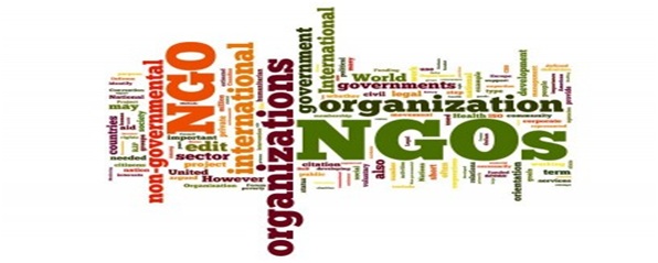 Accounts in ngo organization