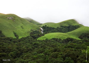 Eastern and Western Ghats Research Program