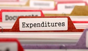 Expenditure-ngo consultancy