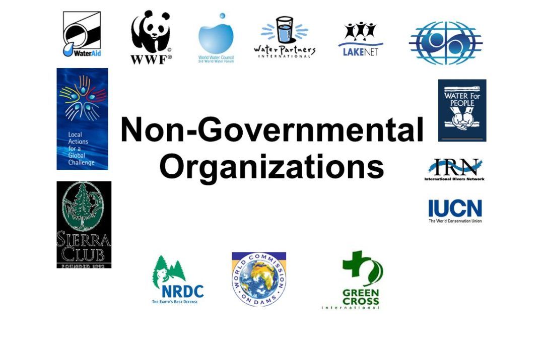 What is the purpose of the international non-governmental organization?