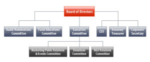 board of directors in ngo