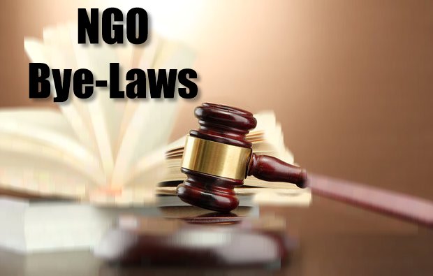 Setting up an NGO’s Bye-Laws