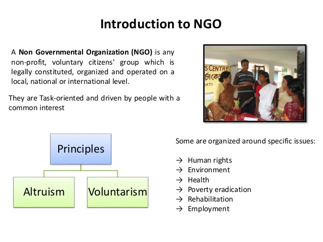 What is Non-Governmental Organization (NGO)?