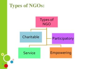 organization of ngos