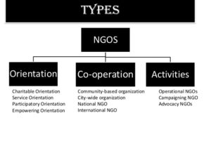 types of ngo 