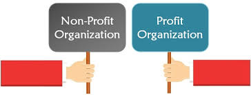 Types of NGO not-for-profit organisations
