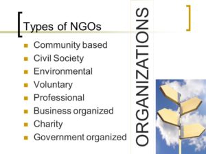 types of organizations in ngo